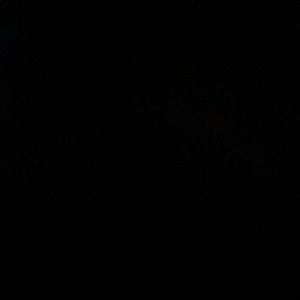 Meet your Posher, Ricky